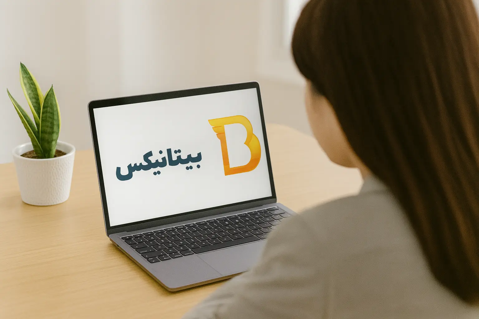 گروه مالی و IT بیتانیکس